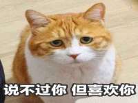 山西德音商贸有限公司