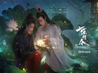 山西德音商贸有限公司