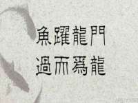 山西德音商贸有限公司