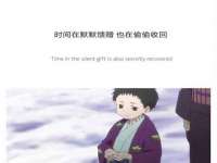 山西德音商贸有限公司