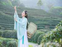 山西德音商贸有限公司