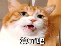 山西德音商贸有限公司