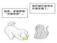 山西德音商贸有限公司