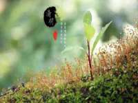 山西德音商贸有限公司