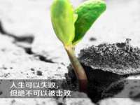 山西德音商贸有限公司