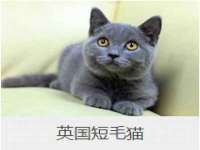 山西德音商贸有限公司