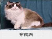 山西德音商贸有限公司