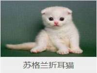 山西德音商贸有限公司