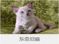 山西德音商贸有限公司