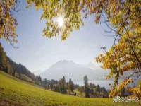 山西德音商贸有限公司