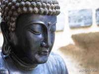山西德音商贸有限公司