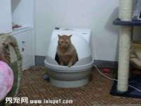 山西德音商贸有限公司