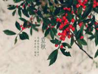 山西德音商贸有限公司