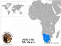 山西德音商贸有限公司