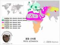 山西德音商贸有限公司