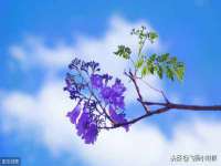山西德音商贸有限公司