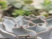 山西德音商贸有限公司