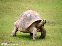 山西德音商贸有限公司