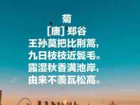 山西德音商贸有限公司