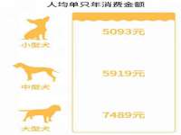 山西德音商贸有限公司