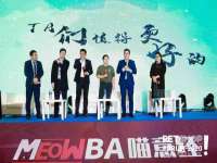 山西德音商贸有限公司