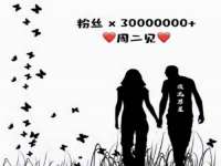 山西德音商贸有限公司