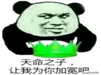 山西德音商贸有限公司
