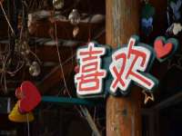 山西德音商贸有限公司