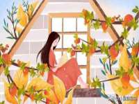 山西德音商贸有限公司